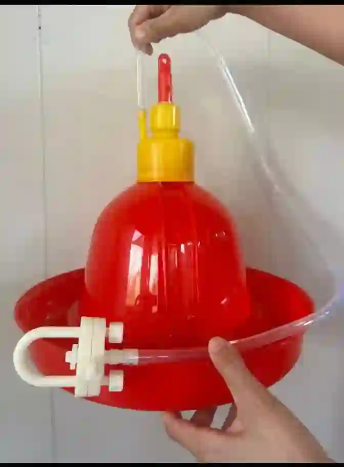 bell drinker