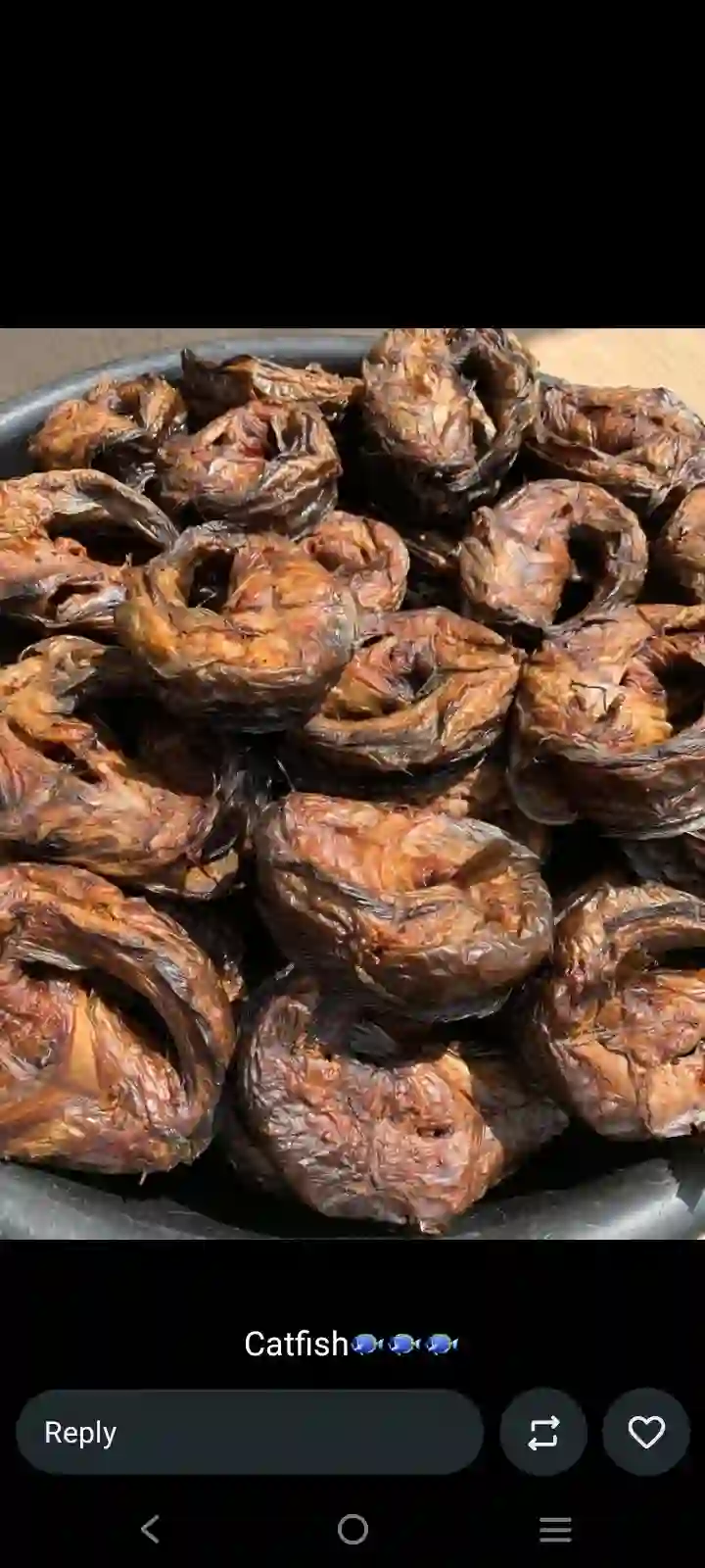 Dried Catfish